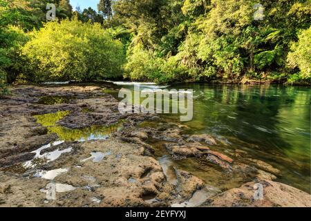 Un fiume che attraversa la foresta nativa della Nuova Zelanda. La corrente ha eroso i modelli e le piscine rocciose nella riva del fiume Foto Stock