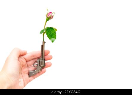 Mano femminile che tiene una piccola pistola con una rosa rossa nel barile su uno sfondo bianco. Foto Stock