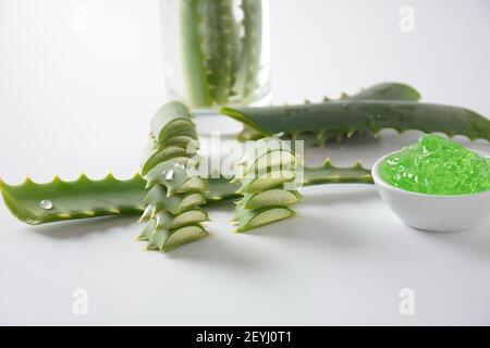 Foglie di aloe vera tagliate a fette su sfondo bianco. Alto beneficio come un'erba con proprietà medicinali Foto Stock