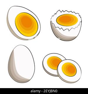 Un set di quattro uova sode - metà, in guscio, tagliate a fette e intere. Illustrazione vettoriale in stile cartoon piatto su sfondo bianco. Adatto per Illustrazione Vettoriale