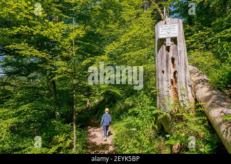 Il ragazzino passò un cartello informativo a lato di un sentiero nel profondo della foresta bavarese, avvertendo gli escursionisti di non lasciare il sentiero in tre lingue diverse Foto Stock