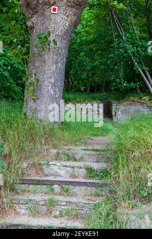 gläserner Mönch bei Langenstein Halberstadt harz Foto Stock