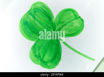 San Patrizio giorno shamrock trifoglio foglia verde fatto in acquerello disegnato a mano, stilizzato su uno sfondo bianco. Foto Stock