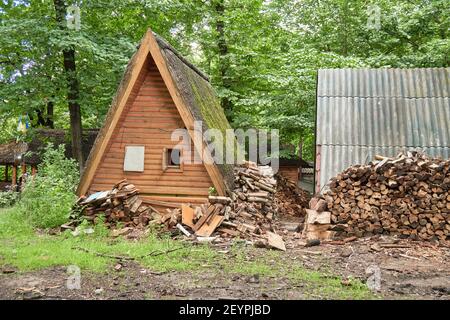 mucchio grande di legna da ardere vicino casa di legno in avillage alla periferia della foresta. rurale abbandonato edificio in foresta. carburante ecologico, mancanza di civiltà Foto Stock