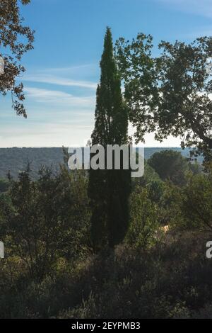 Vista sulla natura di campo de San Isidro (la dehesa), Badajoz, Estremadura, Spagna. Foto Stock