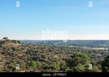 Vista sulla natura di campo de San Isidro (la dehesa), Badajoz, Estremadura, Spagna. Foto Stock