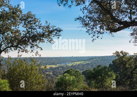 Vista sulla natura di campo de San Isidro (la dehesa), Badajoz, Estremadura, Spagna. Foto Stock