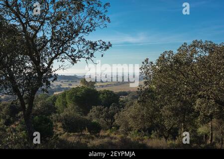 Vista sulla natura di campo de San Isidro (la dehesa), Badajoz, Estremadura, Spagna. Foto Stock