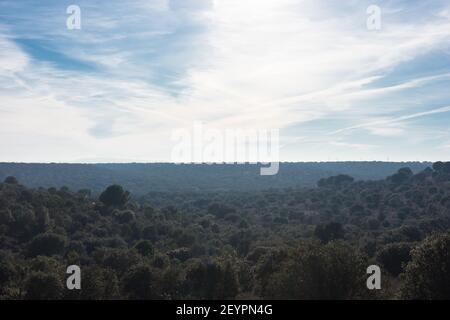 Vista sulla natura di campo de San Isidro (la dehesa), Badajoz, Estremadura, Spagna Foto Stock