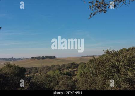 Vista sulla natura di campo de San Isidro (la dehesa), Badajoz, Estremadura, Spagna. Foto Stock