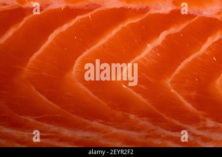 primo piano di un filetto di salmone con la pelle usata come condimento per una dieta sana e a basso contenuto di carb con meno grassi Foto Stock