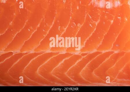 primo piano di un filetto di salmone con la pelle usata come condimento per una dieta sana e a basso contenuto di carb con meno grassi Foto Stock