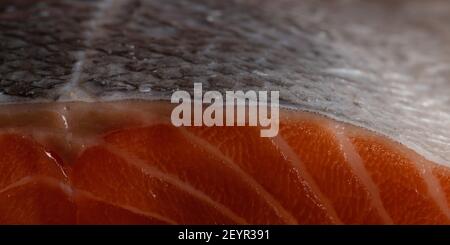 primo piano di un filetto di salmone con la pelle usata come condimento per una dieta sana e a basso contenuto di carb con meno grassi Foto Stock