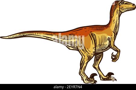 Disegno di dinosauro beige isolato T-rex. Vettore cartoon tirannosauro animale estinto preistorico Illustrazione Vettoriale