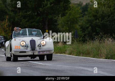 CAGLI , ITALIA - OTT 24 - 2020 : JAGUAR XK 120 se OTS 1954 su una vecchia auto da corsa nel rally Mille miglia 2020 la famosa corsa storica italiana (1927-195 Foto Stock