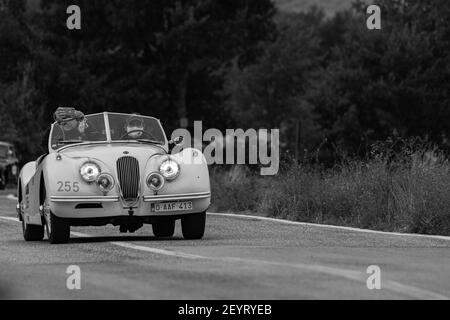 CAGLI , ITALIA - OTT 24 - 2020 : JAGUAR XK 120 se OTS 1954 su una vecchia auto da corsa nel rally Mille miglia 2020 la famosa corsa storica italiana (1927-195 Foto Stock