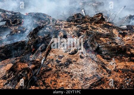 Vista della foresta bruciata a Meulaboh. Cinque ettari di peatlands in Gampong Peunaga Cut Ujong, Meureuobo, Aceh occidentale era sul fuoco che ha iniziato da Sabato, 27 febbraio 2021, il suo mantenimento si è sparso a causa dei forti venti caldo atmosferica. Oltre ai peatlands, gli incendi si sono allargati anche ad alcune delle piantagioni di palme da olio. L'effetto nebbia ha cominciato a coprire l'area della città di Meulaboh e intorno. Il Coordinatore del Centro di controllo operativo (PUSDALOPS) dell'Agenzia per la gestione dei disastri distrettuali dell'Aceh occidentale (BPBD), Mashuri ha affermato che gli sforzi per spegnere l'incendio nella zona dei peatlands a Peunaga C. Foto Stock