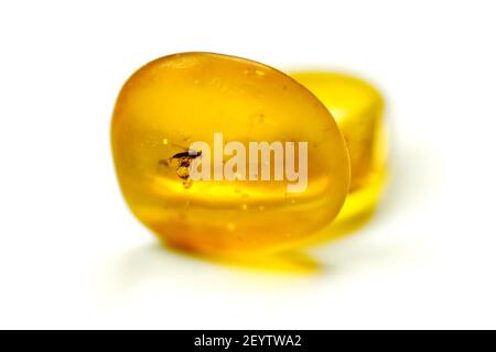 Pietre di ambra con zanzara, sfondo bianco isolato. Pietra giallo brillante dal Mar Baltico. Minerale naturale per gioielli. Primo piano, foto macro. Foto Stock