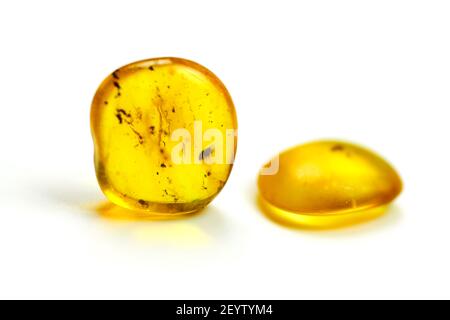 Pietre di ambra con zanzara, sfondo bianco isolato. Pietra giallo brillante dal Mar Baltico. Minerale naturale per gioielli. Primo piano, foto macro. Foto Stock