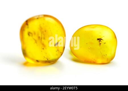 Pietre di ambra con zanzara, sfondo bianco isolato. Pietra giallo brillante dal Mar Baltico. Minerale naturale per gioielli. Primo piano, foto macro. Foto Stock