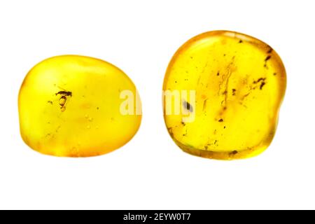 Pietre di ambra con zanzara, sfondo bianco isolato. Pietra giallo brillante dal Mar Baltico. Minerale naturale per gioielli. Primo piano, foto macro. Foto Stock