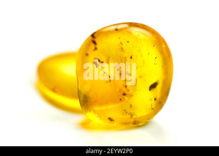 Pietre di ambra con zanzara, sfondo bianco isolato. Pietra giallo brillante dal Mar Baltico. Minerale naturale per gioielli. Primo piano, foto macro. Foto Stock