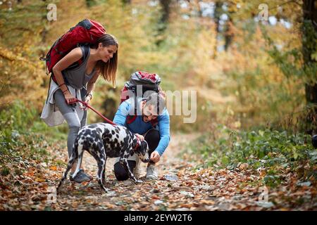 Giovane coppia trekking con il cane in foresta in autunno Foto Stock