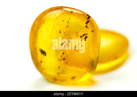 Pietre di ambra con zanzara, sfondo bianco isolato. Pietra giallo brillante dal Mar Baltico. Minerale naturale per gioielli. Primo piano, foto macro. Foto Stock