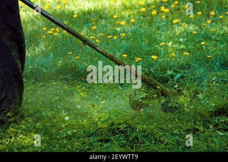 taglio erba verde lussureggiante nel parco. splendido sfondo natura. cura del prato lavoro in corso concetto. spazzola utensile utilizzato per mantenere giardini e. Foto Stock