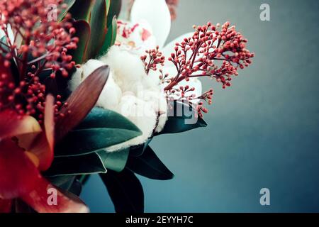 Bouquet con cotone su sfondo scuro. Sfondo sfocato. Foto Stock