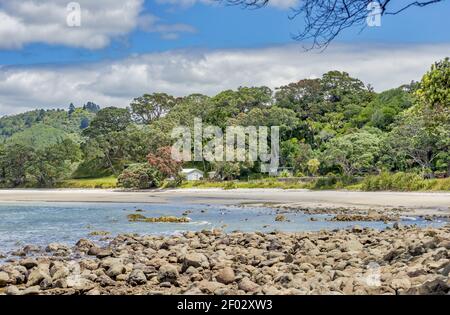 Uno splendido scenario di formazioni rocciose e piante verdi a. New Chums Beach in Nuova Zelanda Foto Stock