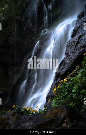 Una piccola cascata in un luogo nascosto da qualche parte in nero forrest Foto Stock