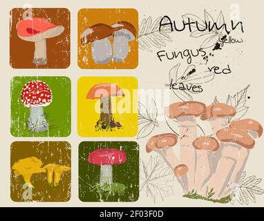 Vintage poster con autunno piante e funghi. Foto Stock