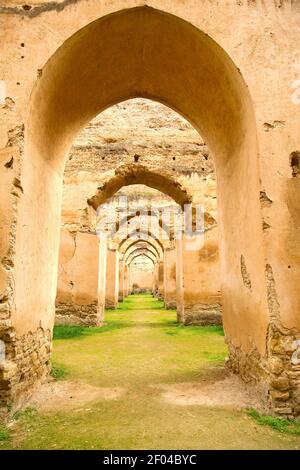 Granaio l'erba verde e la parete dell'arco Foto Stock