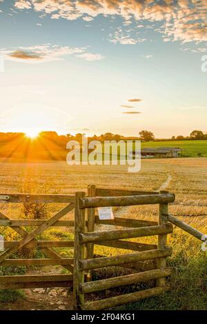 Sunrise in azienda Foto Stock