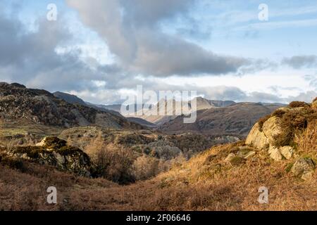 Langdale Pikes visto da Holme cadde Foto Stock