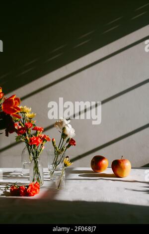 Vasi di vetro con tulipani in fiore e garofani posti sul tavolo vicino mele con ombra in un muro Foto Stock