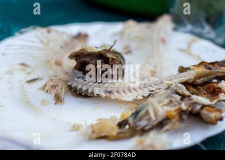 Scarti di cibo avanzi di pesce ossa sulla piastra bianca Foto Stock