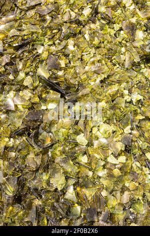 Schiacciato il vetro rotto bottiglia riciclare Sharp cocci verde Foto Stock