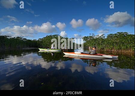 Donna e senior kayaking attivo su Nine Mile Pond nell'Everglades National Park. Foto Stock