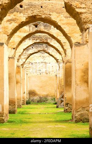 Antico granaio marocchino il muro verde Foto Stock