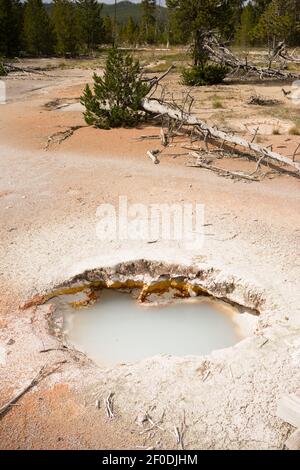 Artista Paint Pots il Parco Nazionale di Yellowstone Wyoming USA Foto Stock