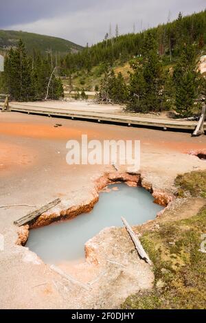 Artista Paint Pots il Parco Nazionale di Yellowstone Wyoming USA Foto Stock