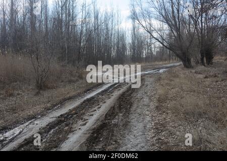 Strada sterrata nella foresta all'inizio della primavera. Tracce in rotta da auto bloccata. Foto Stock