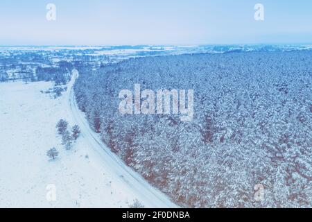 Foresta innevata. Alberi di pino coperti di neve. Natura invernale. Sfondo di Natale. Vista aerea. Vista dall'alto della strada di campagna nevosa lungo la foresta Foto Stock