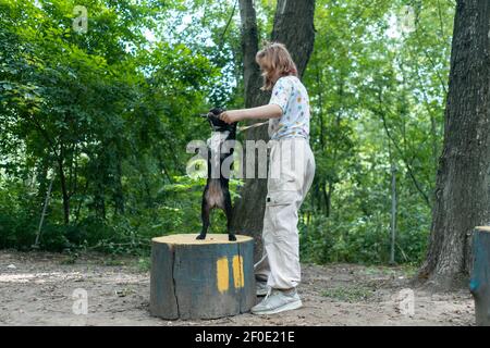 i bambini giocano e allenano il bulldog o il cucciolo francese con il bastone al parco giochi Foto Stock