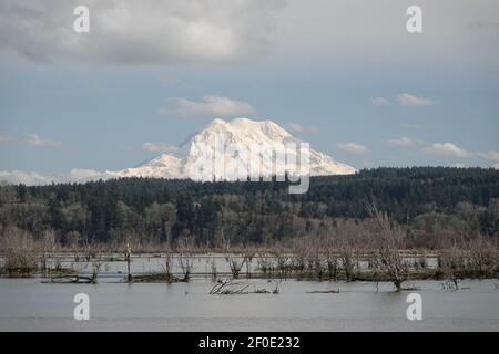 Vista sul monte Rainier dal Nisqually National Wildlife Refuge, febbraio 2021 Foto Stock