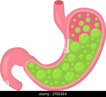 Icona dello stomaco. Organi interni umani. Illustrazione Vettoriale