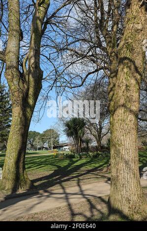 Il Devonport Park di Plymouth è spesso definito Parco del Popolo. Un lontano Pavilion Cafe visto incorniciato da alberi e narcisi in primo piano. Foto Stock