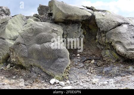 Fumarole di zolfo a te Puia o Whakarewarewa, Nuova Zelanda Foto Stock